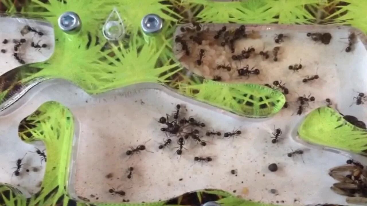 Оптимизация маршрутов