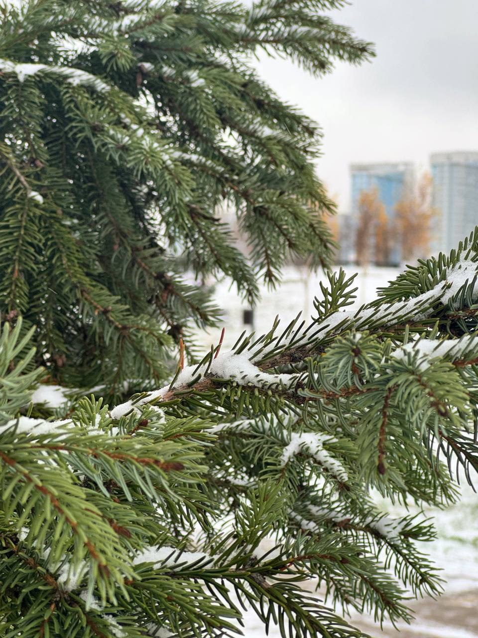 Игра в настольный тенннис